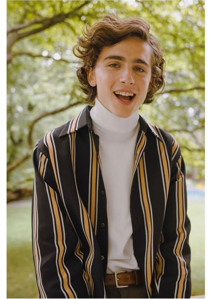 Timothée Chalamet Tablo Ahşap Poster Dekoratif