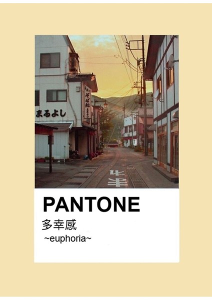 Pantone Estetiğinin Kopyası Anime Japon Gün Batımı Deniz Tablo Ahşap Poster Dekoratif