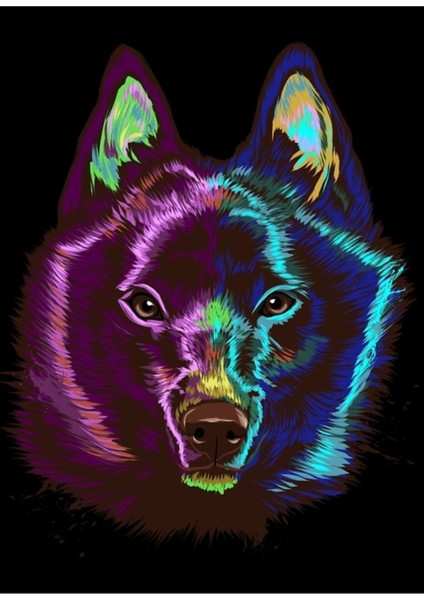Splash Schipperke Köpek Tablo Ahşap Poster Dekoratif
