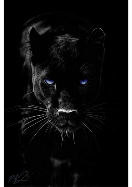 Kara Panter Tablo Ahşap Poster Dekoratif