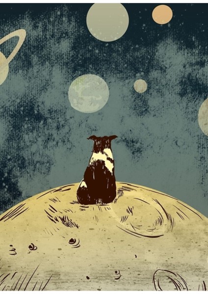 Sonsuz Fırsatlar - Uzaya Bakan Köpek Tablo Ahşap Poster Dekoratif
