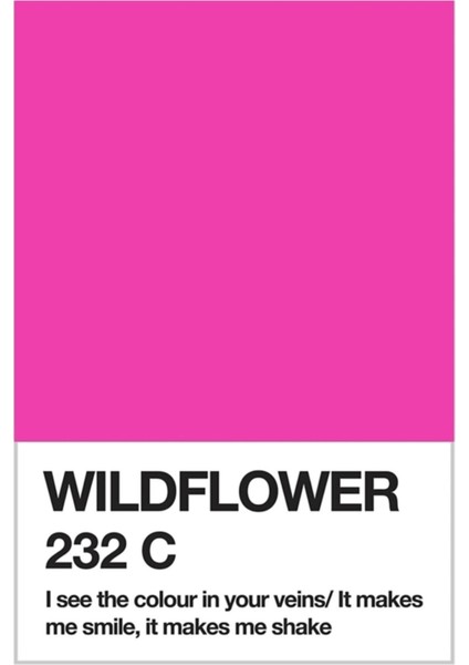 Wildflower Pantone Renk Örneği Tablo Ahşap Poster Dekoratif