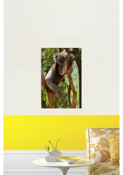 Koala-T Tablo Ahşap Poster Dekoratif