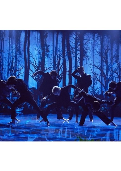 Bts Siyah Kuğu Performans Desen Tablo Ahşap Poster Dekoratif KOD943