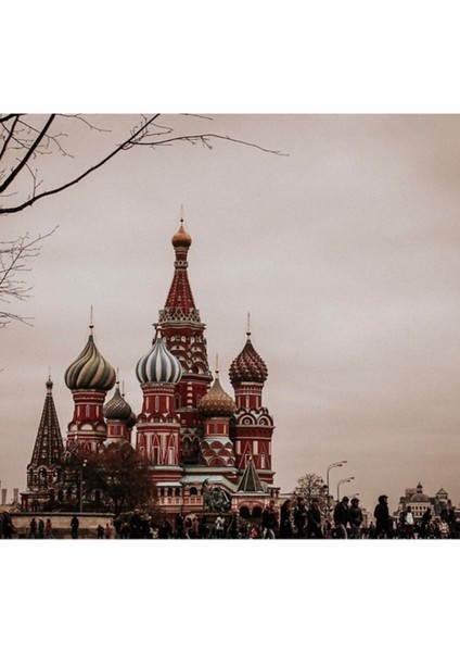 Sakız Damla Üstleri Tablo Ahşap Poster Dekoratif