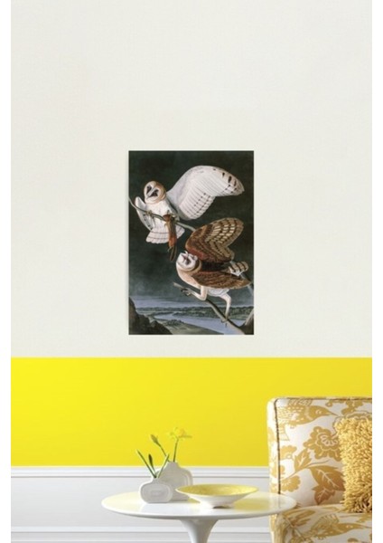 Peçeli Baykuşlar, Amerika Kuşları, John James Audubon Tablo Ahşap Poster Dekoratif fiyatları