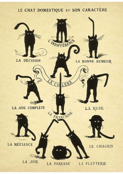 Le Chat Domestique Et Son Caractere Tablo Ahşap Poster Dekoratif