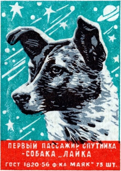 1957 Uzay Köpeği Laika Tablo Ahşap Poster Dekoratif
