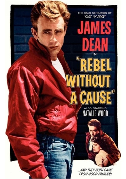 Rebel Tablo Ahşap Poster Dekoratif