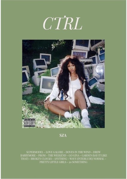 Sza Ctrl Albüm Tablo Ahşap Poster Dekoratif