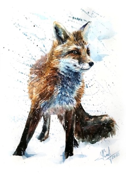 Fox, Hayvanlar, Suluboya, Vahşi, Illüstrasyon, Yaban Hayatı, Kostart Tablo Ahşap Poster Dekoratif