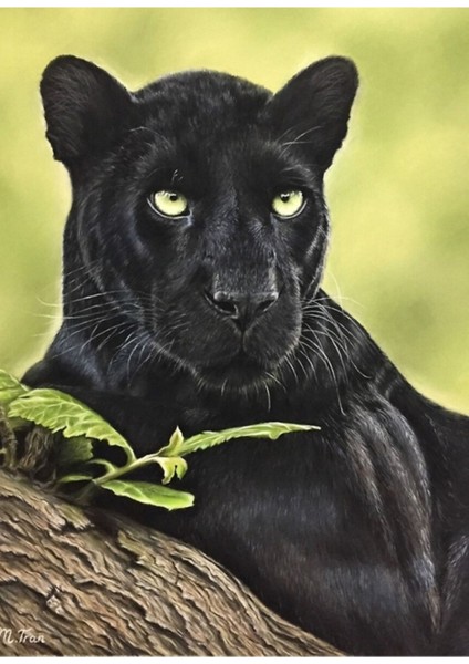 Kara Panter Sanat Portre Tablo Ahşap Poster Dekoratif