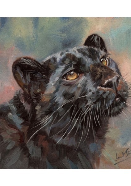 Kara Panter Portre Tablo Ahşap Poster Dekoratif