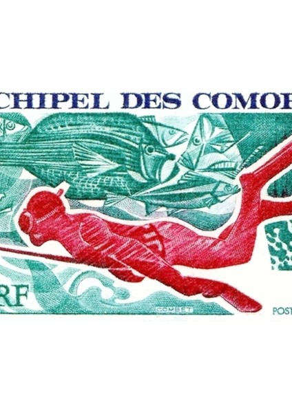 1972 Komor Adaları Zıpkınla Balık Avı Posta Pulu Tablo Ahşap Poster Dekoratif