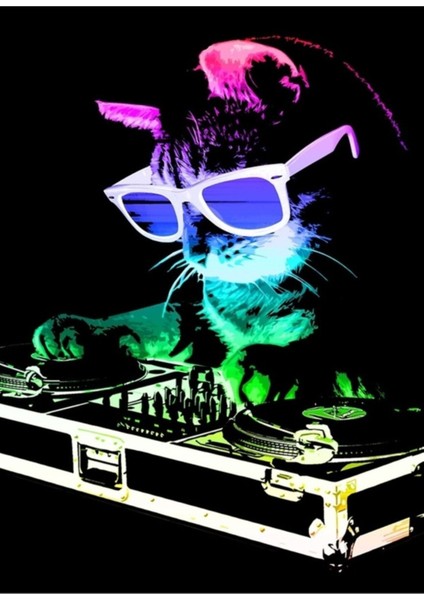 House Cat (Rainbow Dj Kitty) Tablo Ahşap Poster Dekoratif