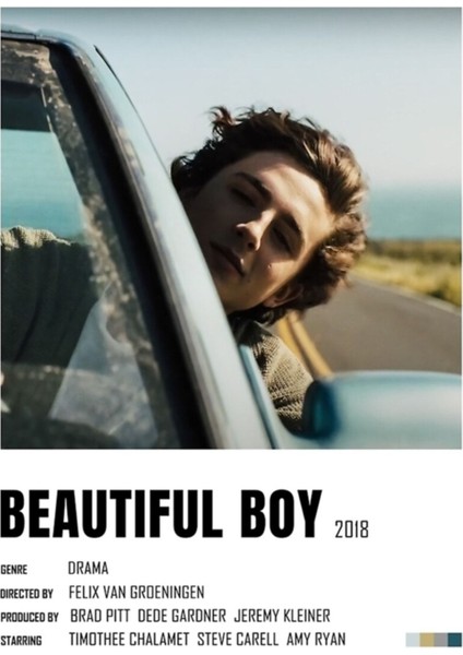 Beautiful Boy Timothee Chalamet Ist Poster Tablo Ahşap Poster Dekoratif