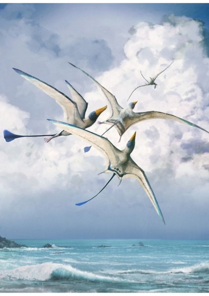 Rhamphorhynchus Tablo Ahşap Poster Dekoratif