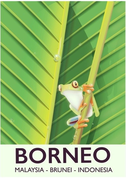 Borneo Kurbağa Seyahat Posteri Tablo Ahşap Poster Dekoratif