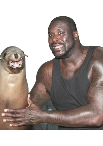 Shaq ve Deniz Aslanı Tablo Ahşap Poster Dekoratif