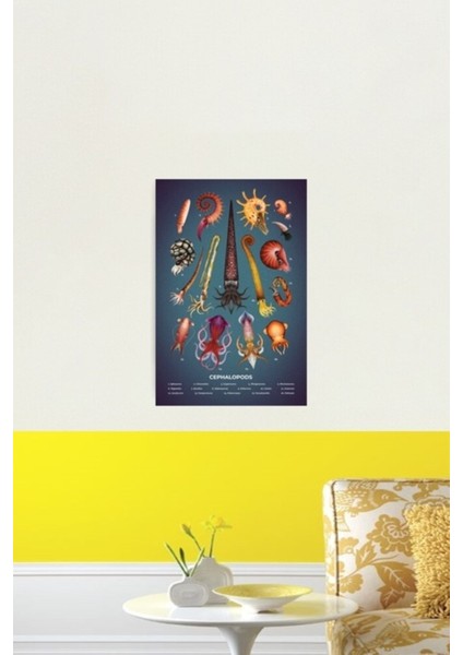 Kafadanbacaklılar Plaka Tablo Ahşap Poster Dekoratif fiyatları