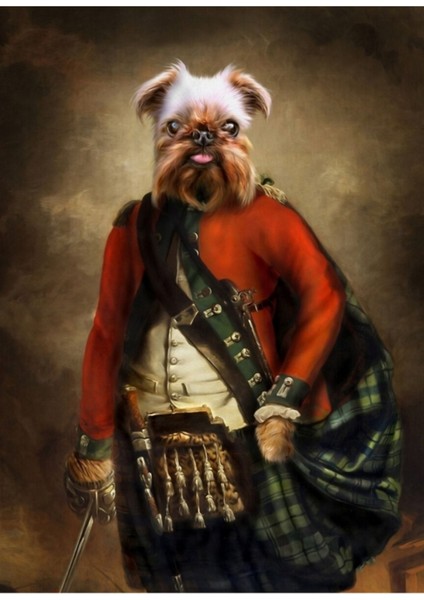 Griffon Bruxellois Köpek Portresi - Jack Tablo Ahşap Poster Dekoratif