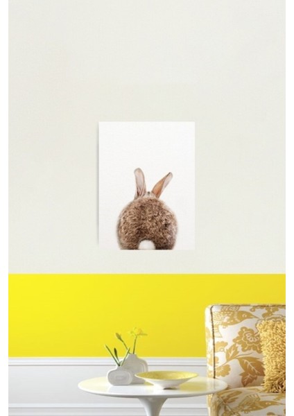 Tavşan Kuyruğu, Bebek Tavşan, Bebek Hayvanlar Sanatsal Baskı By Synplus Tablo Ahşap Poster Dekoratif
