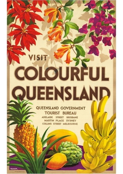 Renkli Queensland Avustralya Tropikal Meyve ve Flora Poster Tablo Ahşap Poster Dekoratif