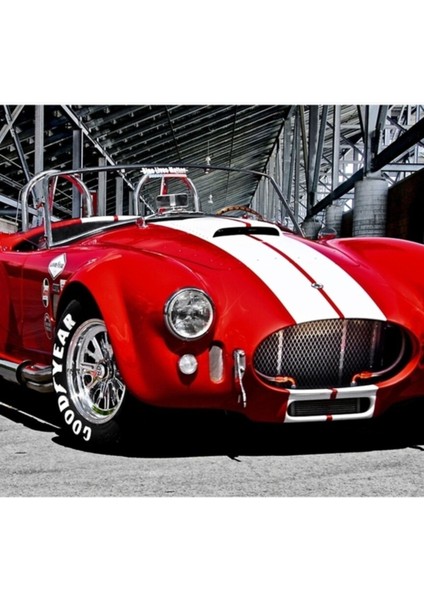 1966 Shelby Cobra 'devrim' Iı Tablo Ahşap Poster Dekoratif
