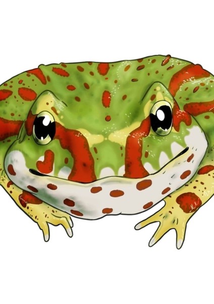 Pacman Kurbağası (Ceratophrys Cranwelli) Tablo Ahşap Poster Dekoratif