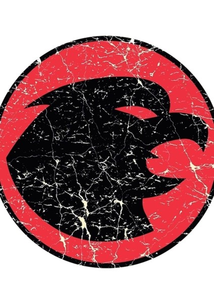 Dc Comics Hawkgirl Distressed Logo Resmi Kadın Ahşap Poster Dekoratif