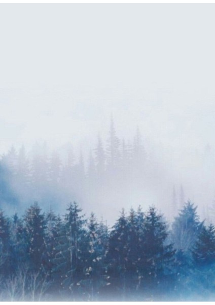 Jimin - Yalan Tablo Ahşap Poster Dekoratif KOD4055