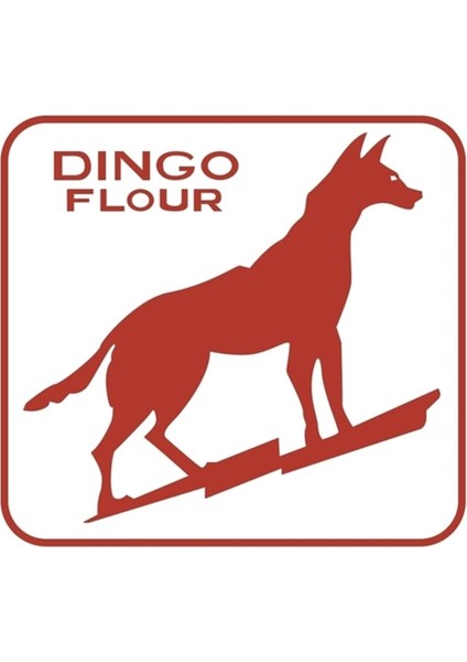 Dingo Un Fremantle Tablo Ahşap Poster Dekoratif