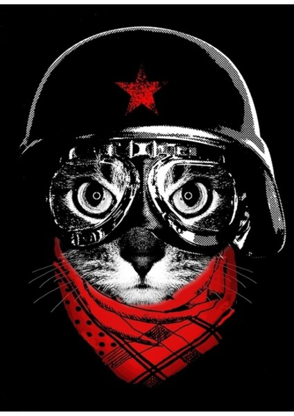 Pilot Kedi Tablo Ahşap Poster Dekoratif