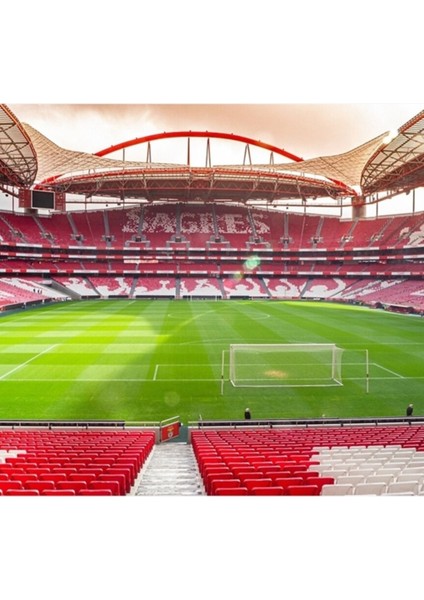 Benfica Stadı Tablo Ahşap Poster Dekoratif