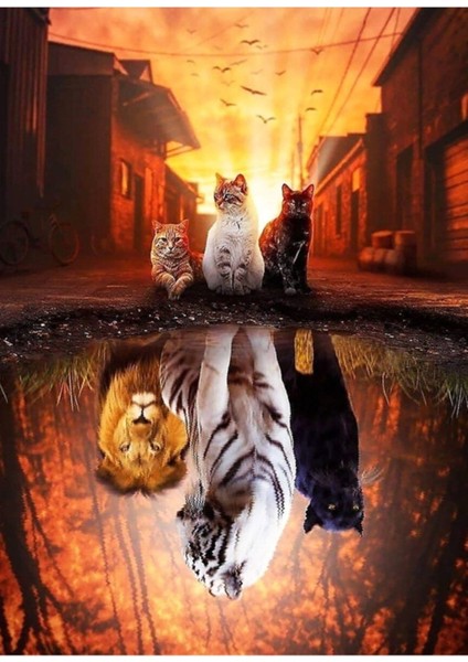 Kedi Vs Kaplan - Kedi Kaplan Yansımasıdır Tablo Ahşap Poster Dekoratif