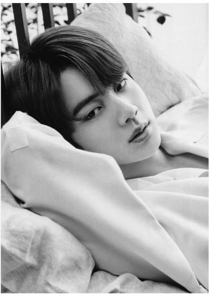 Bts Jin Dıcon Mag Tablo Ahşap Poster Dekoratif KOD3097