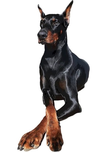 Doberman Köpeği Dobermann Pinscher Tablo Ahşap Poster Dekoratif