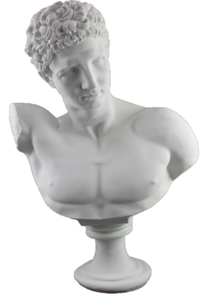 Davut Büst Heykel Biblo fırsatları