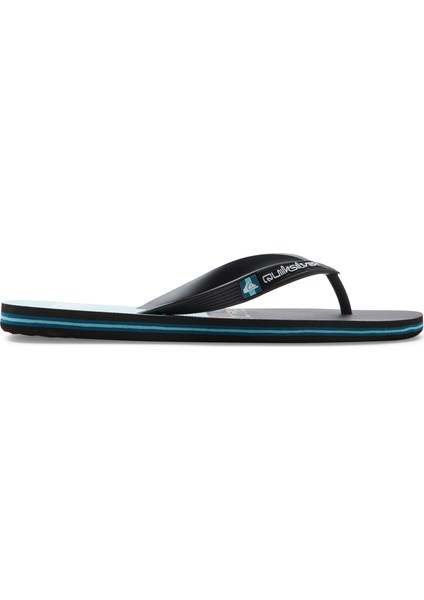 Molokai Stripe Erkek Terlik AQYL101361-BLACK/BLUE/BLACK