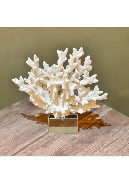 Kristalli Beyaz Mercan Aksesuar fiyatları