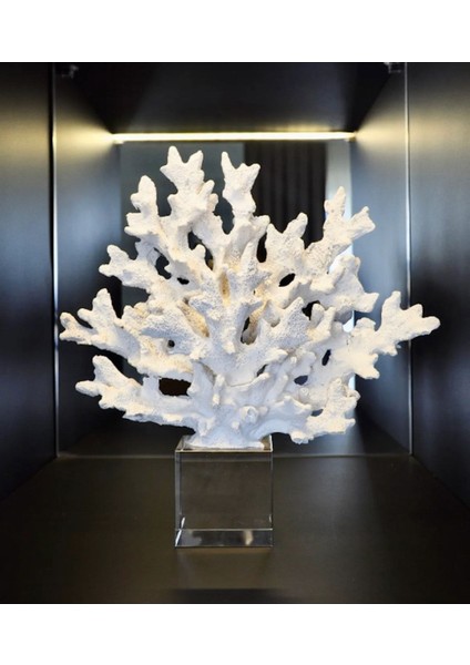 Kristalli Beyaz Mercan Aksesuar modelleri