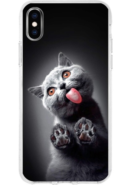 Apple iPhone Xs Max ile Uyumlu 1mm Slim Fit Kedi 2 050C Baskılı Şeffaf Silikon Kılıf