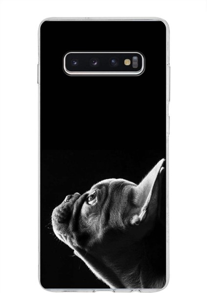 Samsung Galaxy S10 Plus ile Uyumlu 1mm Slim Fit Köpek 1 050A Baskılı Şeffaf Silikon Kılıf