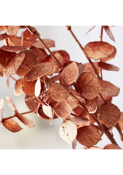 Yapay Çiçek Bakır Bronz Renk Okaliptus 3dallı Uzun Dal 76CM Eucalyptus