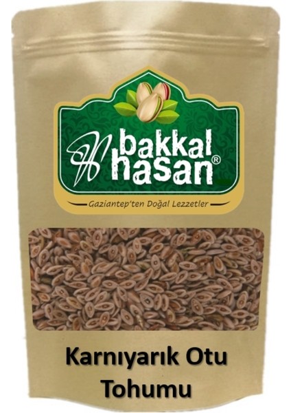 - Karnıyarık Otu Tohumu