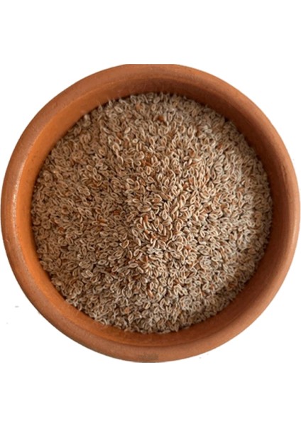 - Karnıyarık Otu Tohumu fiyatları