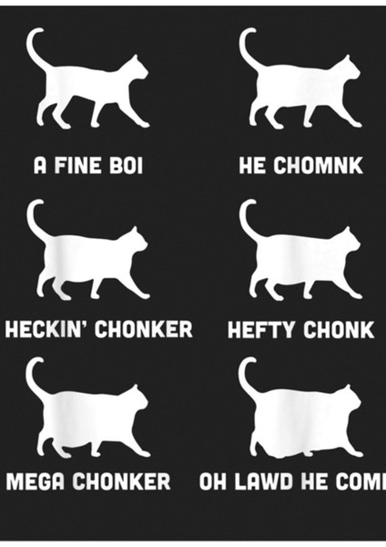 Komik Kediler Meme, Chonk Kedi Tablosu Tablo Ahşap Poster Dekoratif