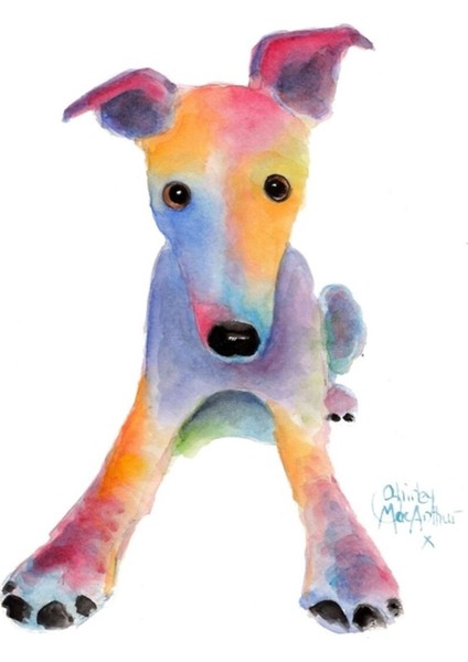 Whippet Greyhound ' Tooty Fruıty ' Shirley Macarthur Tarafından Tablo Ahşap Poster Dekoratif