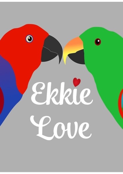 Erkek Dişi Eklektus Papağan Ekkie Aşk Tablo Ahşap Poster Dekoratif
