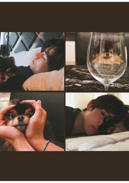 Yeontan Estetik ile Taehyung Vlog Tablo Ahşap Poster Dekoratif KOD767